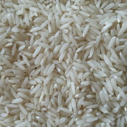 برنج طارم هاشمی اصل