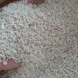 برنج لاشه طارم