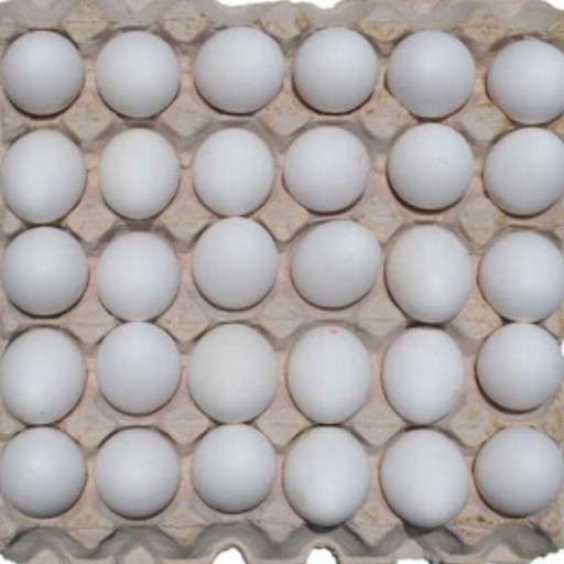 شانه تخم مرغ 30 تایی (غیر خانگی) تازه و تاریخ دار (حدود یکماه انقضاء داره)
