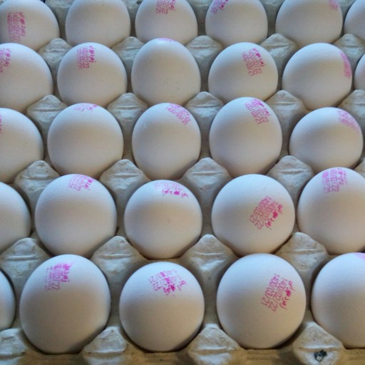شانه تخم مرغ 30 تایی (غیر خانگی) تازه و تاریخ دار (حدود یکماه انقضاء داره)