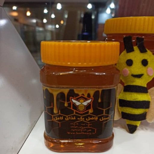 عسل خالص جنگل نیم کیلویی