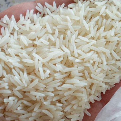 برنج طارم محلی کشت دوم 2 کیلوگرم
