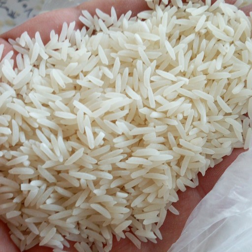 برنج طارم محلی کشت دوم 10 کیلوگرم