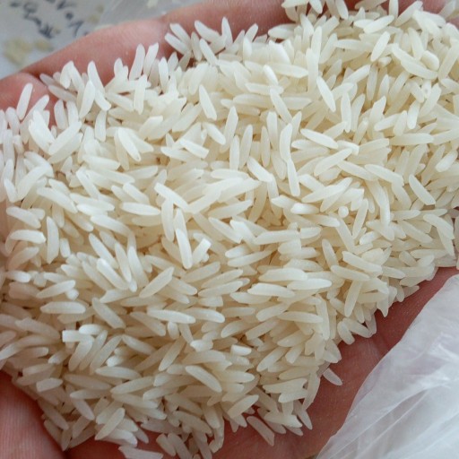 برنج موسئ طارم 5 کیلوگرم