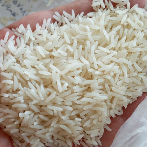 برنج موسئ طارم ا کیلوگرم