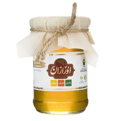 عسل گون اورازان (360 گرم)                   