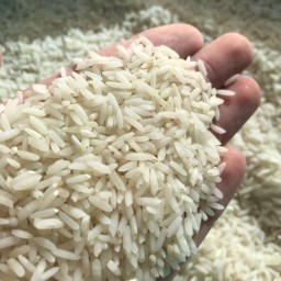 برنج کشت دوم شمال(20کیلویی)