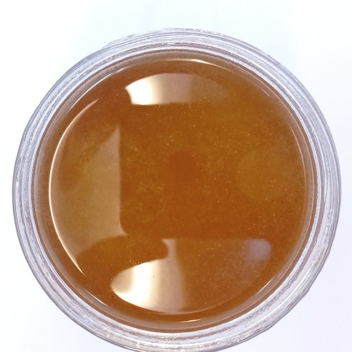 عسل طبیعی گون زول یا زول گون یا زل گون (1000 گرمی )