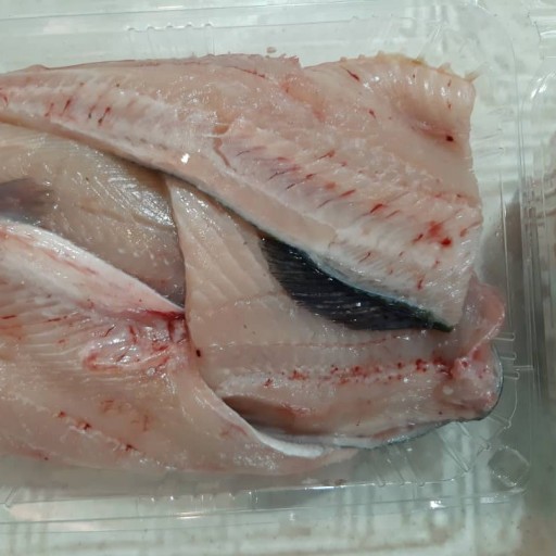 ماهی قزل آلا (1 کیلو)
