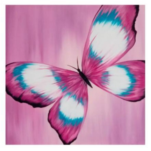 تابلو نقاشی پروانه سبک رنگی تزییناتی