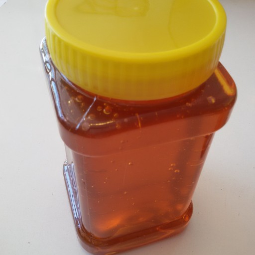 عسل گون شهد طبیعی سبلان ممتاز (مستقیم از زنبوردار) یک کیلو گرم خالص
