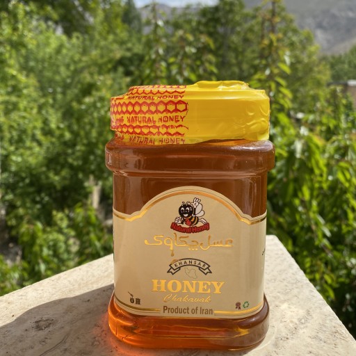 عسل گزانگبین خوانسار(1000گرمی)