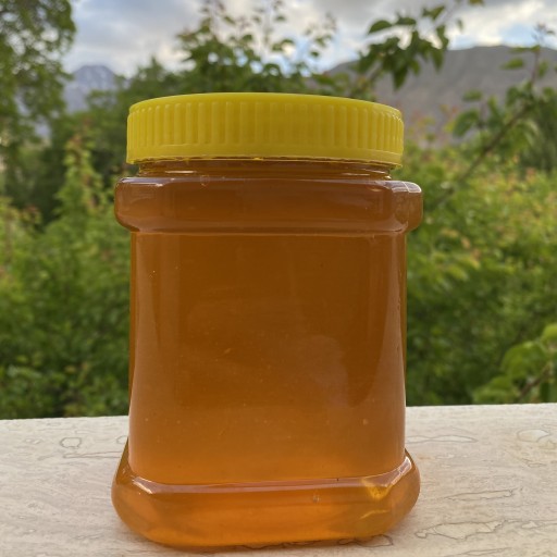 عسل انگبین خوانسار(1000گرمی)