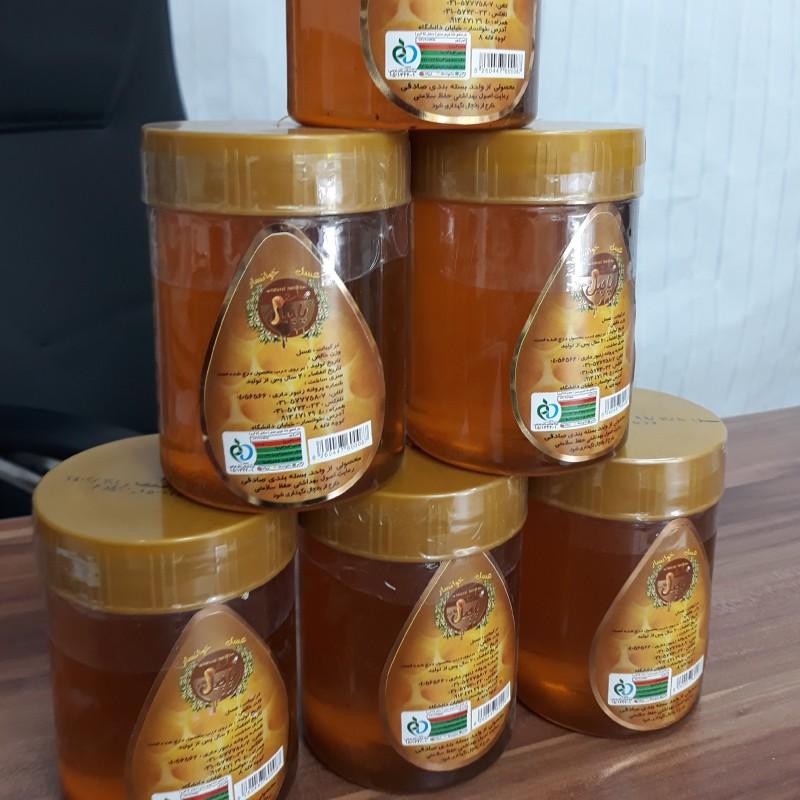 عسل چهل گیاه  500گرمی پاچیل طلایی