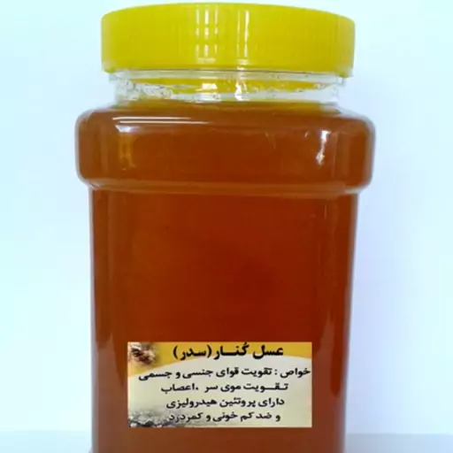 عسل بهاره کوهستان عسل اویشن و امسالی (یک کیلویی) عسل ارتفاعات شمال خراسان با کیفیت و عیار بالا