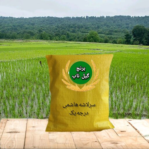 برنج سرلاشه هاشمی  ، برداشت امسال 1401 ،بسیار خوش طعم و معطر ،1000 گرم "نمونه" ارسال رایگان به تمام کشور ، برنج گیل ناب 