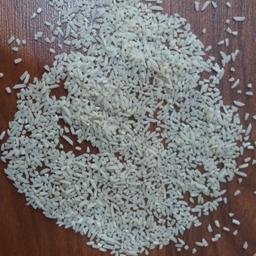 برنج سرلاشه هاشمی اعلا  فروش عمده 50 کیلویی نرخ هر کیلو 60
