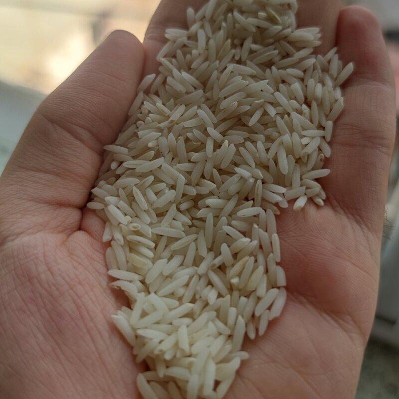 برنج هاشمی ممتاز 10 کیلویی |معطر و خالص| خوش پخت و مجلسی