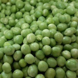 نخودفرنگی تازه درجه 1