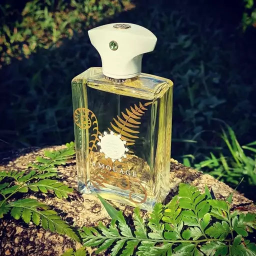 عطر ادکلن تستر درب ساده 100 میل  آمواج براکن مردانه  Amouage Bracken Man