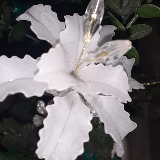 گل لیلیوم سفید کریستالی