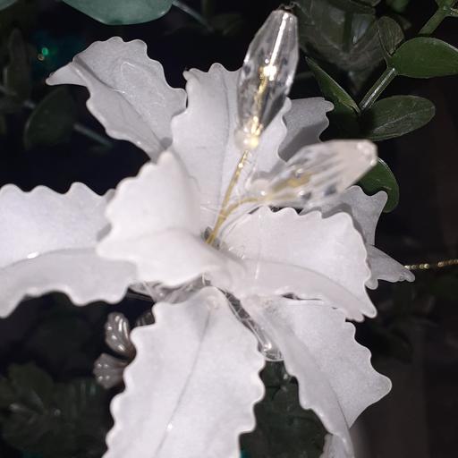 گل لیلیوم سفید کریستالی