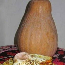 کدو حلوایی