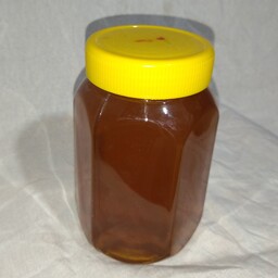 عسل گَون و گیشنیز(1کیلو گرم)