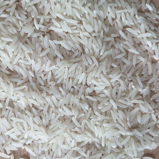 برنج فجر 5