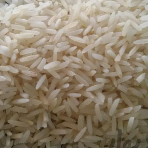 برنج طارم هاشمی 5