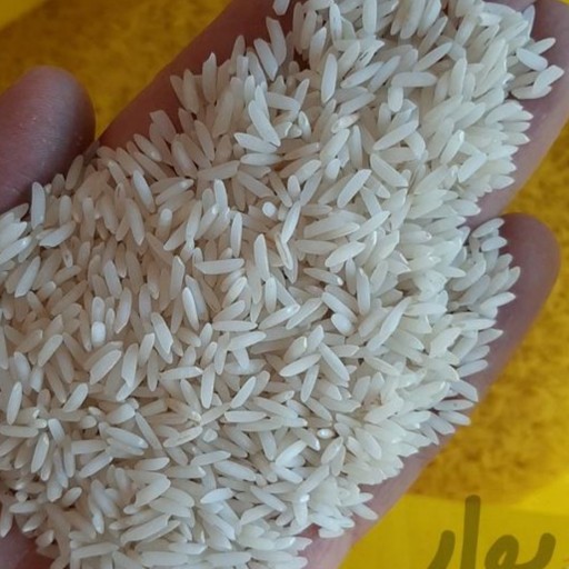 برنج طارم هاشمی 5