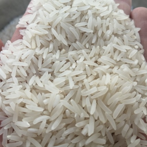 برنج فجر 10 کیلویی