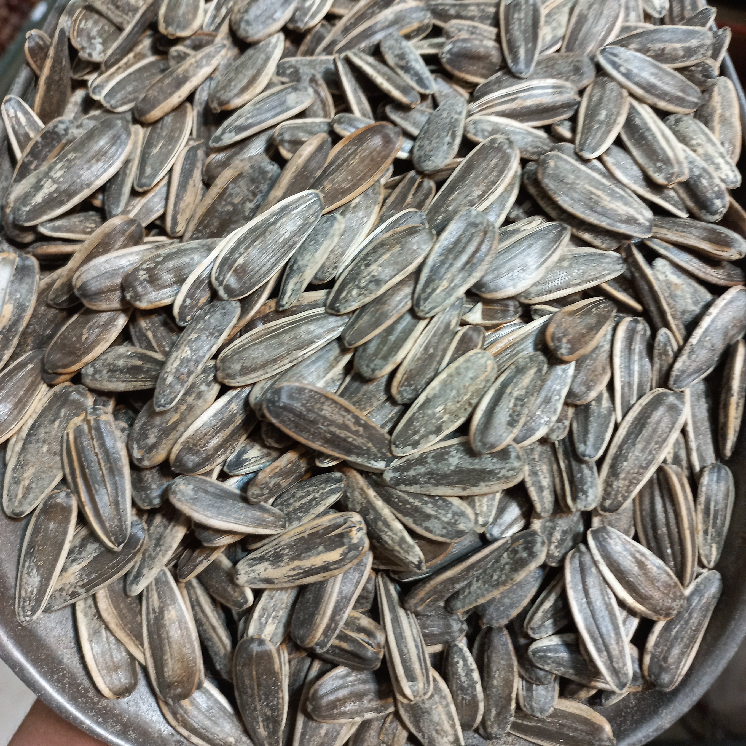 تخمه آفتابگردان رژیمی درشت(300گرمی)