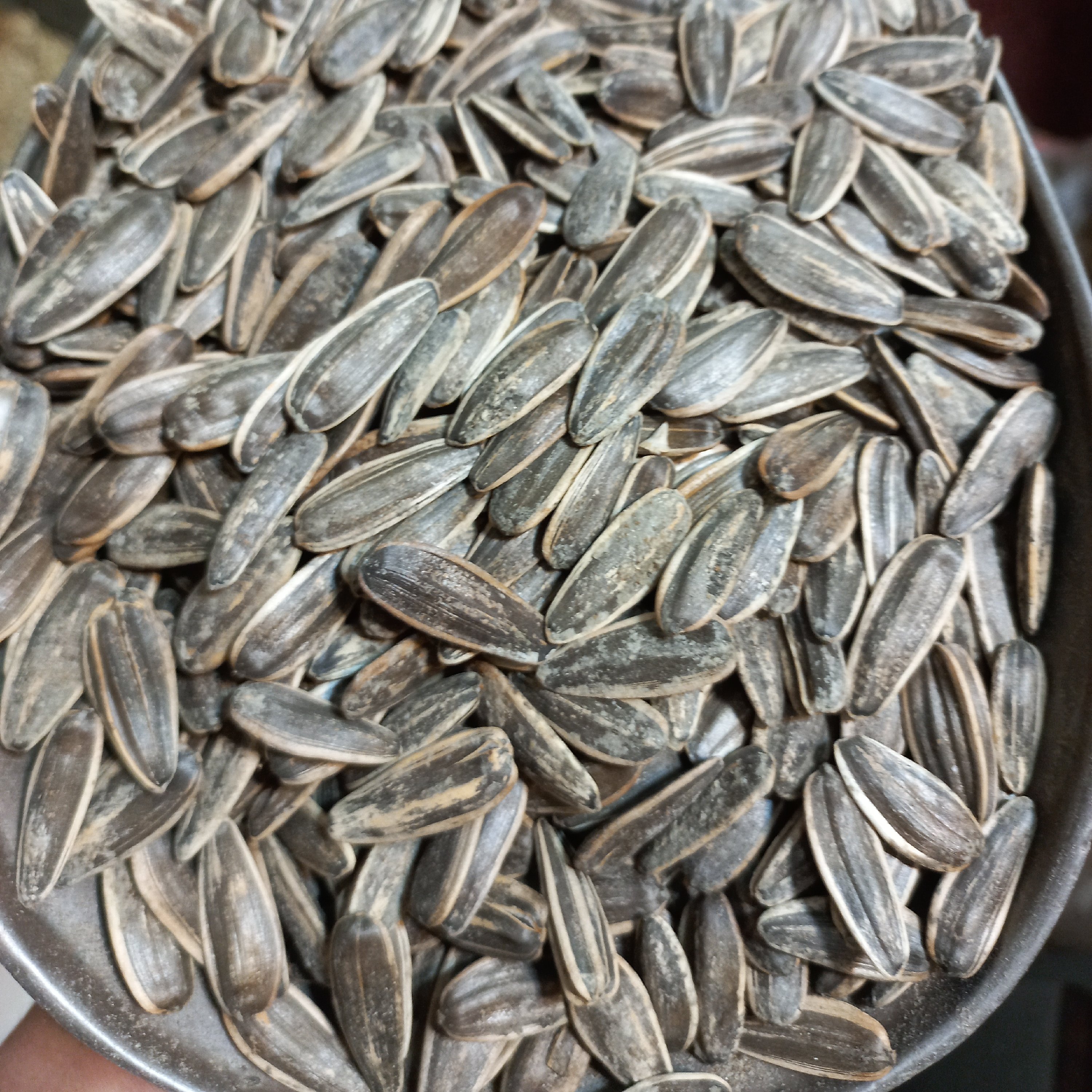 تخمه آفتابگردان رژیمی درشت(300گرمی)