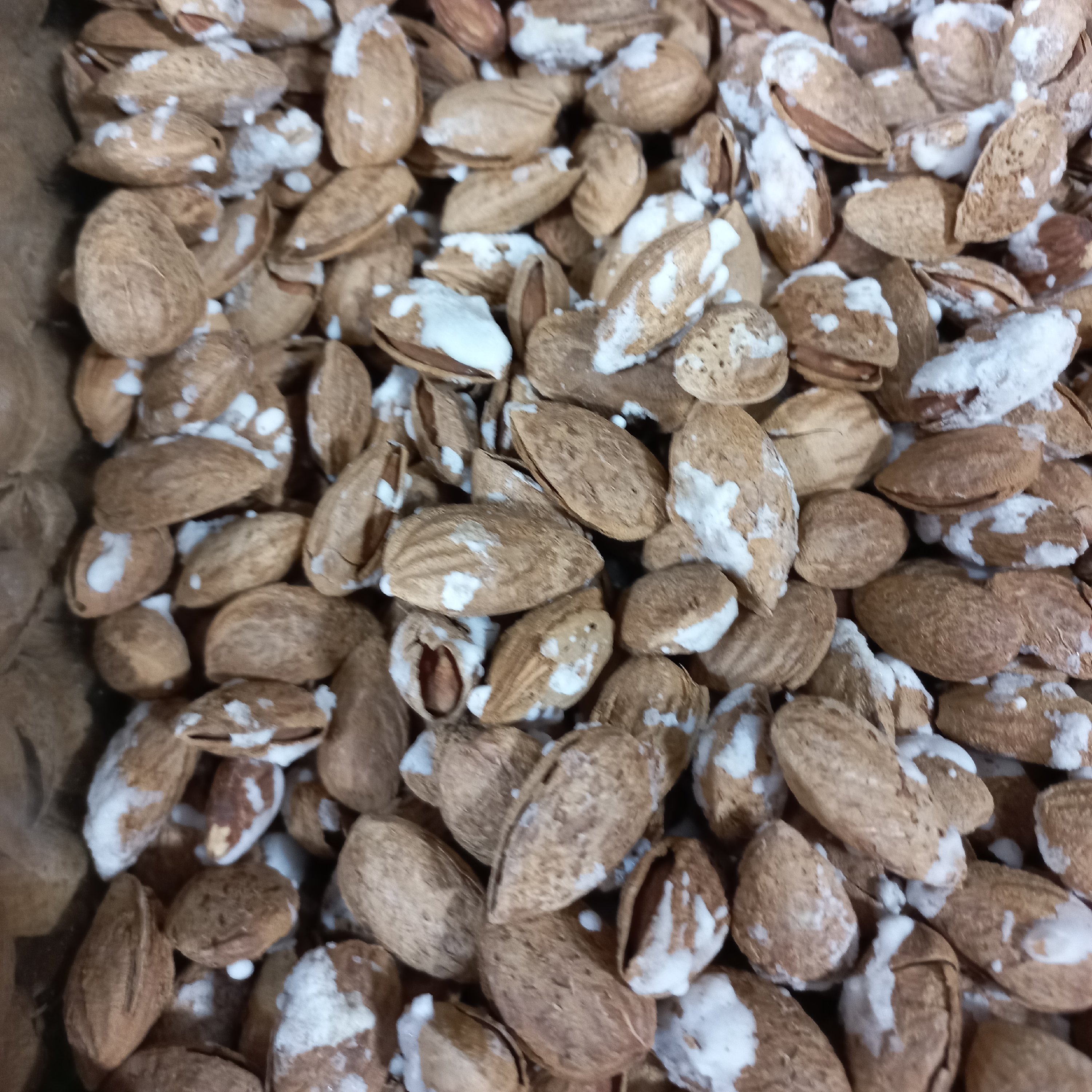 بادام درختی پوست کاغذی نمکی(200گرمی)
