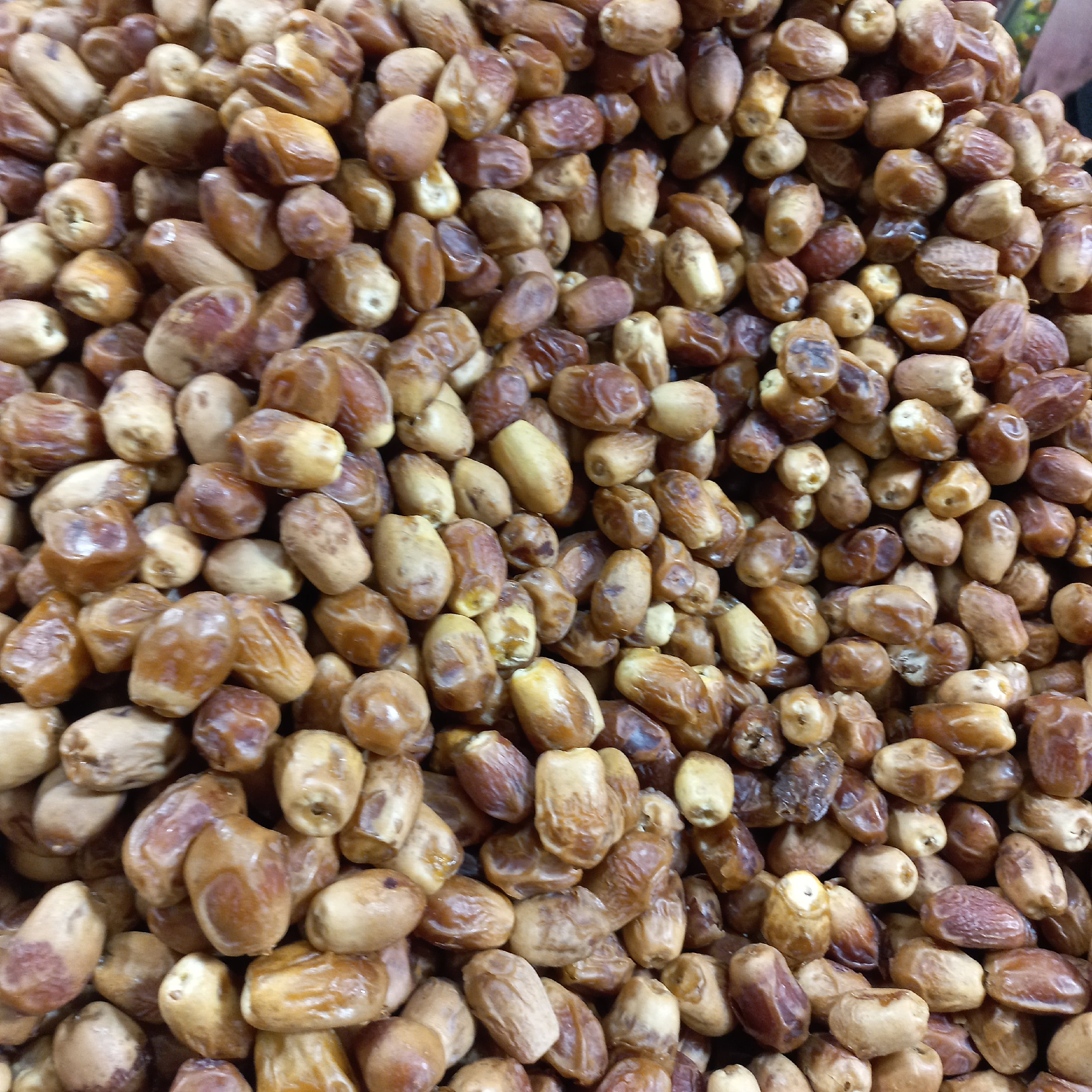 خرما زاهدی امسالی درجه یک (500گرمی)