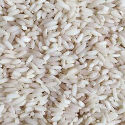 برنج عنبر بو - شمال کوب یک دست و تمیز  - وزن بسته 10 کیلو گرم - با تخفیف ویژه 