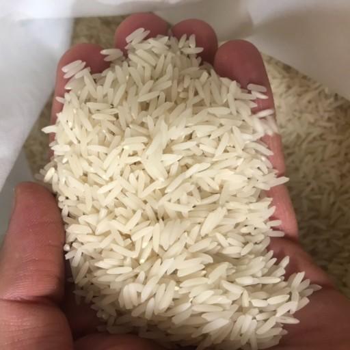 برنج صدری دمسیاه طبیعی سفارشی 5 کیلو (فوق اعلاء) آستانه اشرفیه