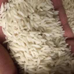 برنج هاشمی فوق اعلاء  آستانه اشرفیه 5 کیلو 
