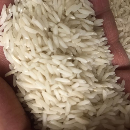 برنج هاشمی معطر فوق اعلاء  آستانه اشرفیه 5 کیلو 