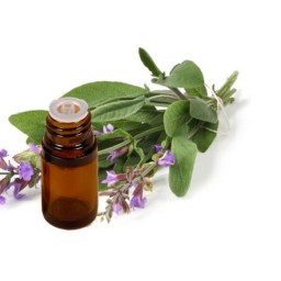 روغن مریم گلی اعلا سحرانا 30 میلی