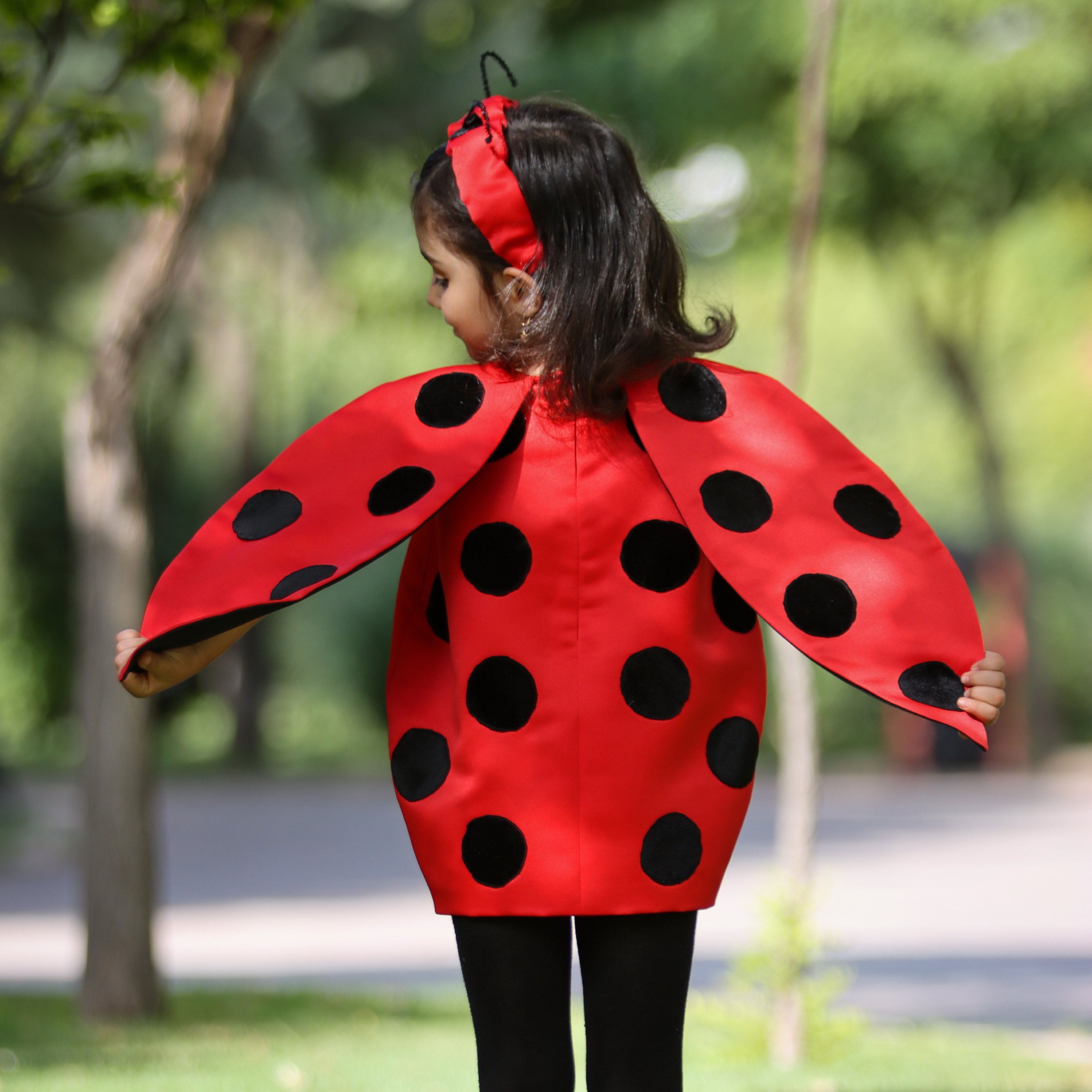 پیراهن تم تولد کفشدوزک