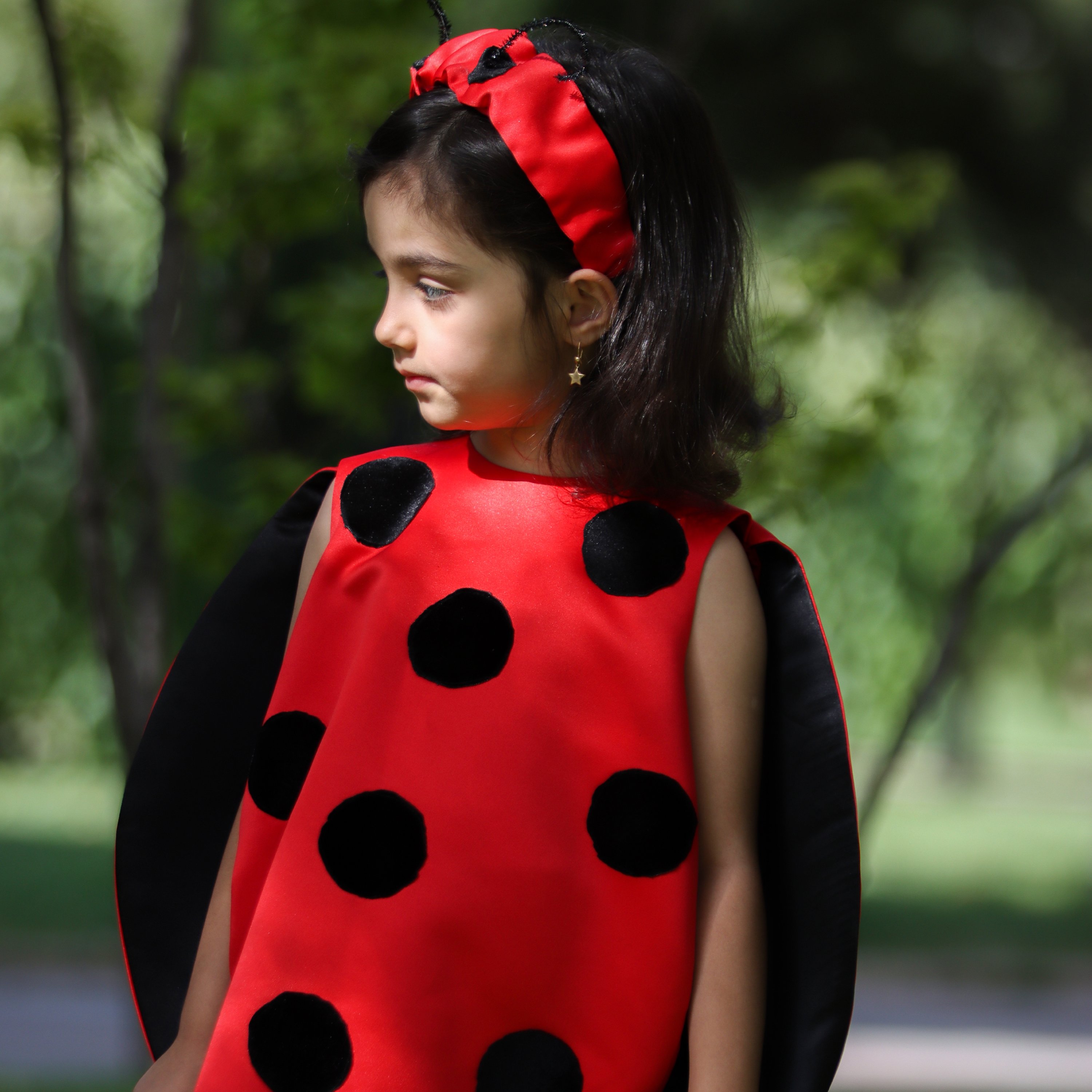 پیراهن تم تولد کفشدوزک