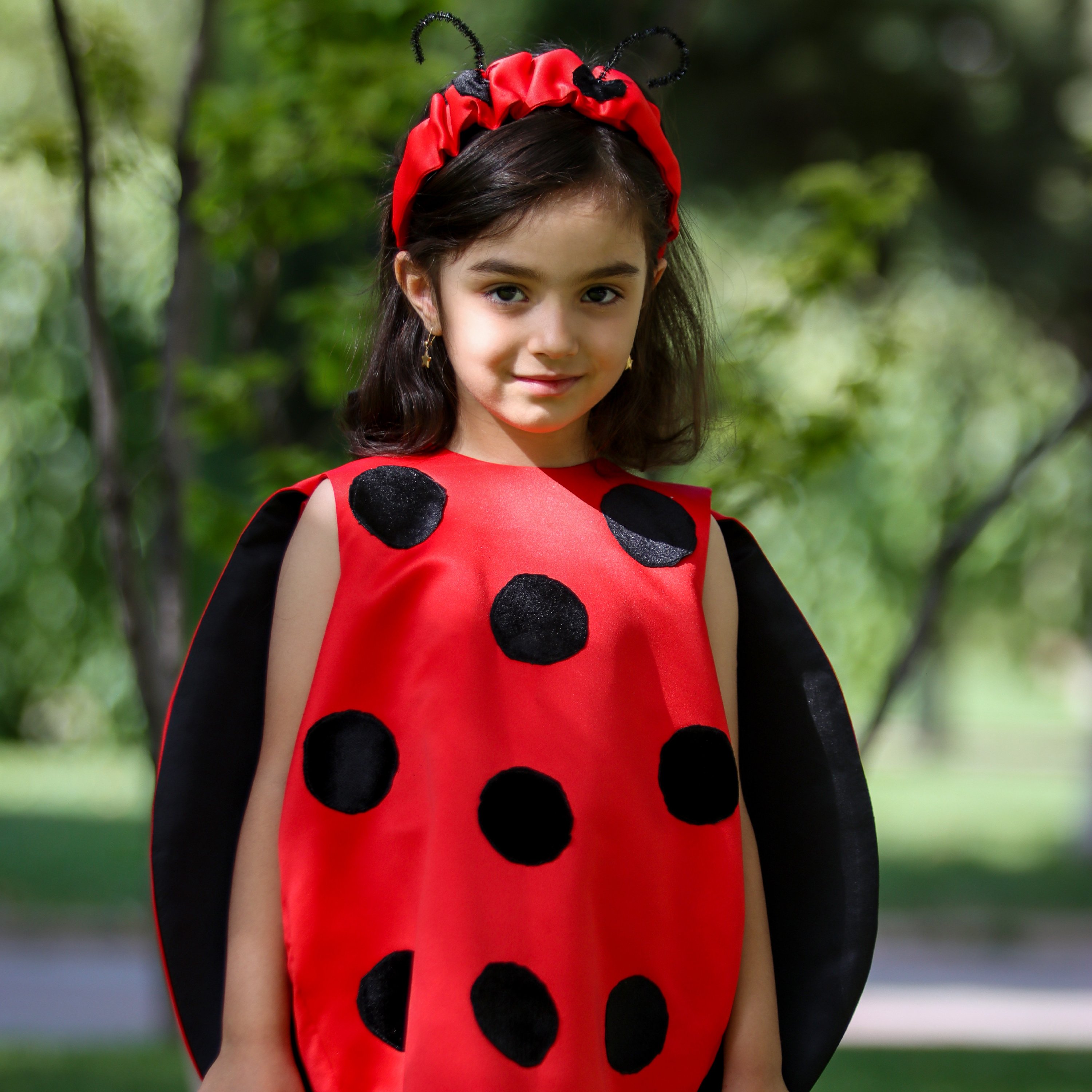 پیراهن تم تولد کفشدوزک