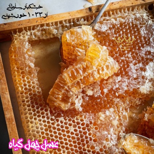 عسل چهل گیاه تابستانه با شانه و موم
100٪ تغذیه طبیعی 
ساکارز زیر 1.6 ، 2 کیلو گرم ، مستقیم از زنبوردار