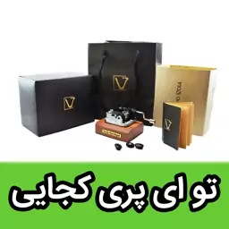 موزیک باکس ایل تمپو ولا ملودی تو ای پری کجایی مدل کلاسیکو(Classico) - جعبه موزیکال آهنگ ایرانی