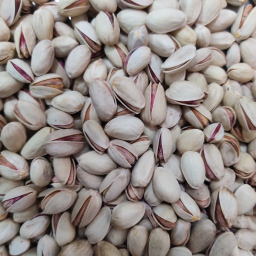 توضیحات تصویر