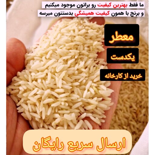 برنج طارم  هاشمی یکدست 10کیلو گرمی تمیز  تضمین کفیت پخت و مرجوعی برنج