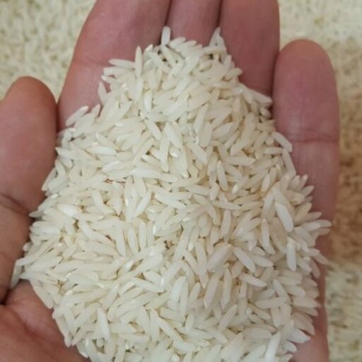 برنج طارم درجه2ارسال رایگان تضمین پخت قیمت مناسب عطر متوسط 