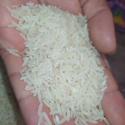 برنج طارم محلی استخوانی 10 کیلویی خرید گروهی